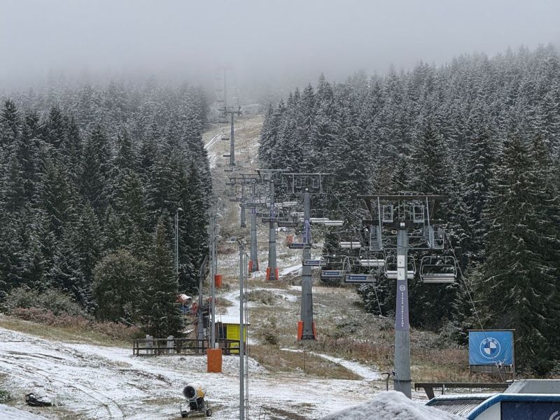 Slika članka