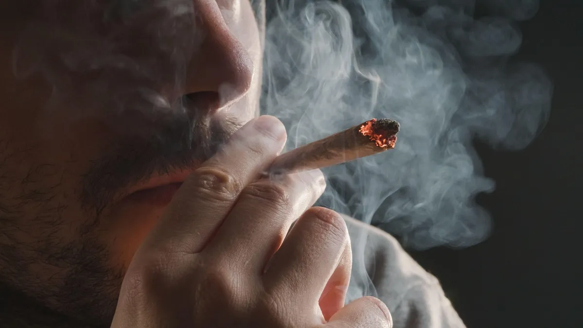 Slika članka
