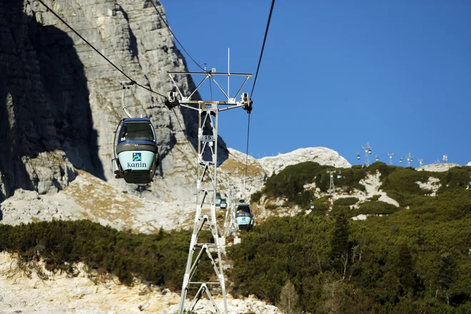 Slika članka