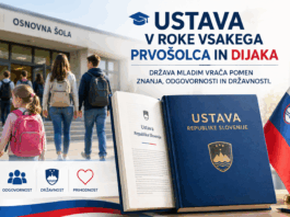Slika članka