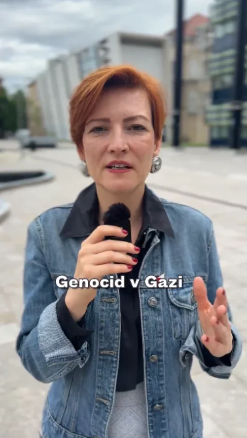 Slika članka
