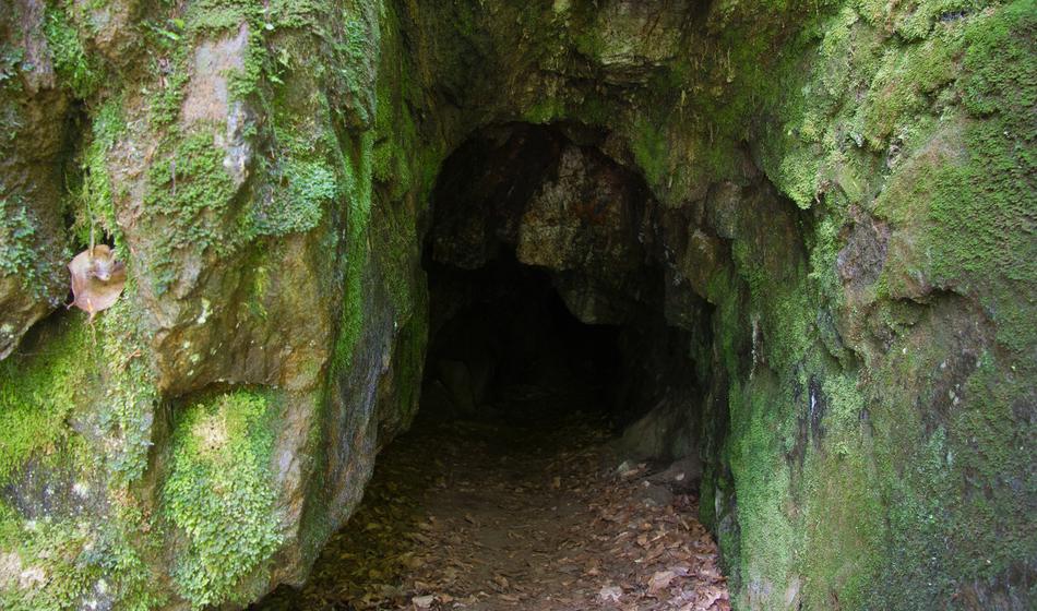Slika članka