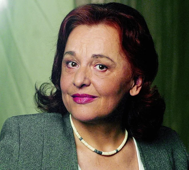 Slika članka