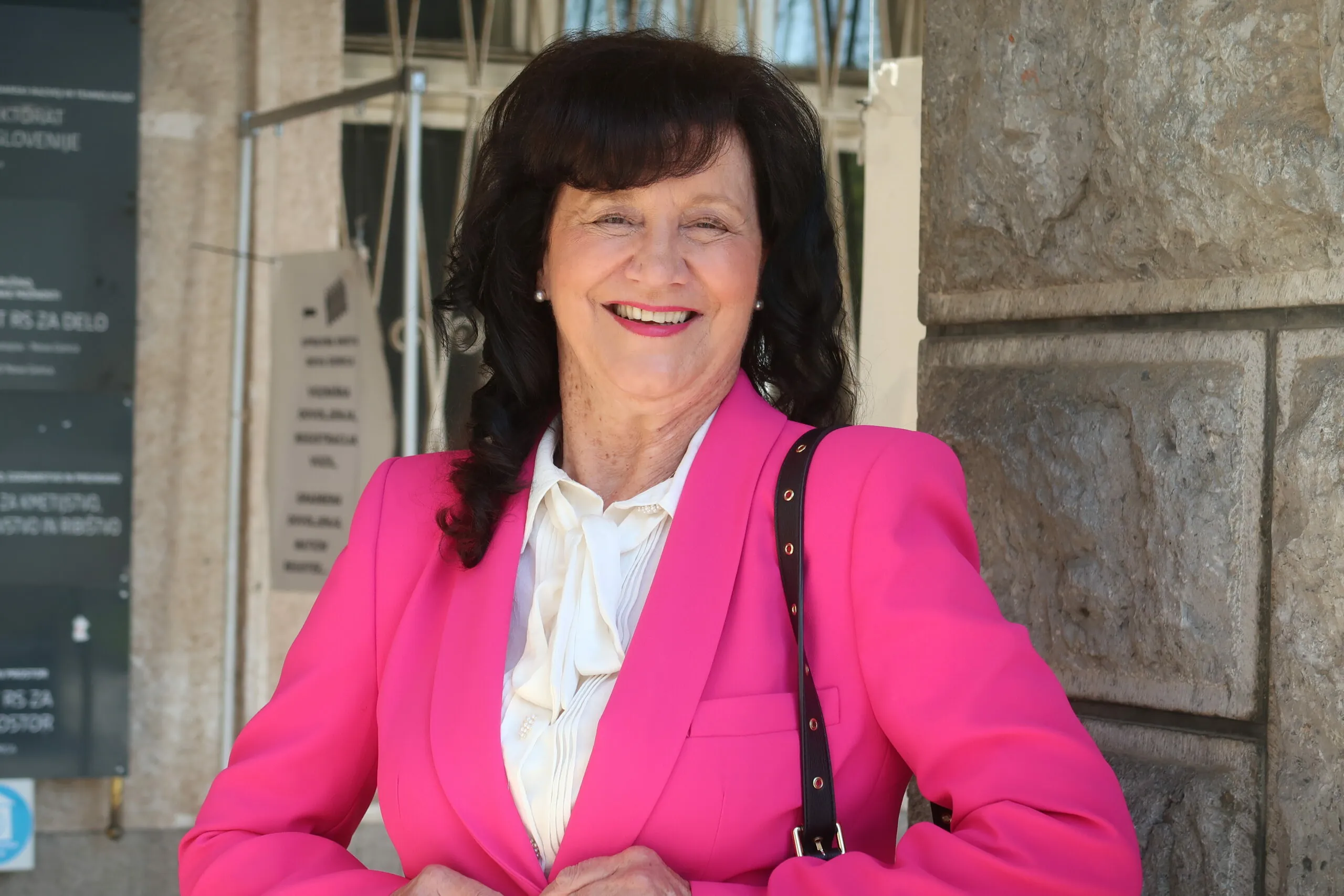 Slika članka