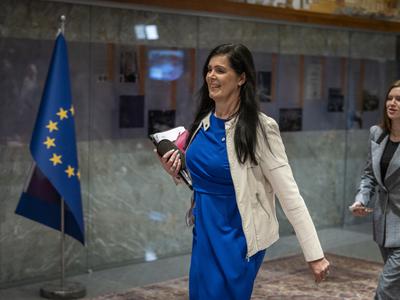 Slika članka