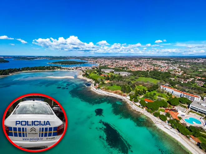 Slika članka
