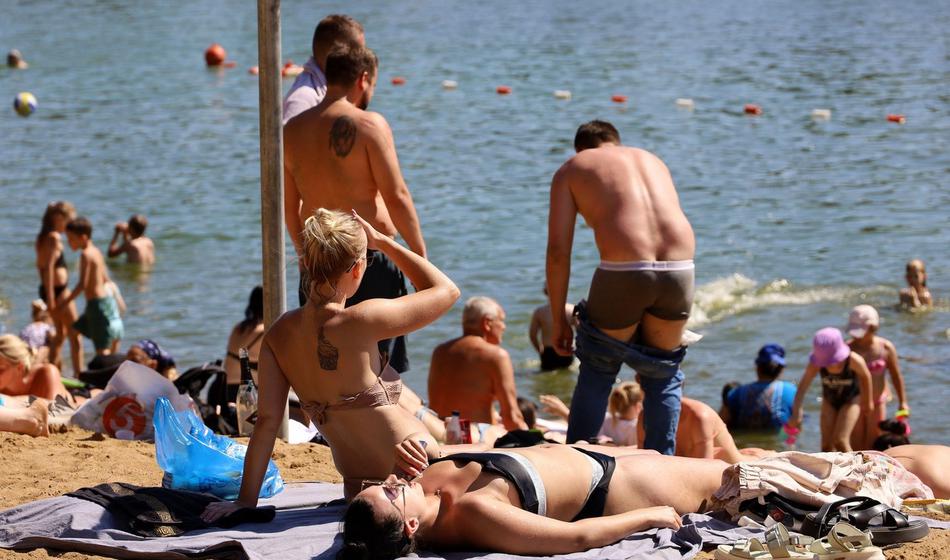 Slika članka