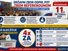 Slika članka