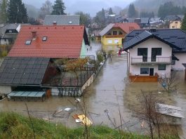 Slika članka