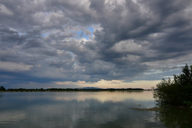 Slika članka