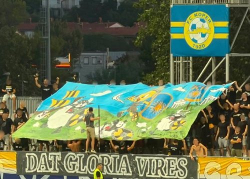 Slika članka