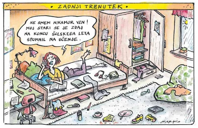 Slika članka