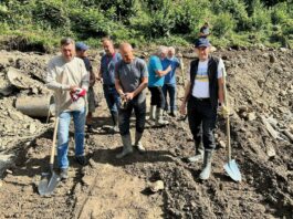 Slika članka