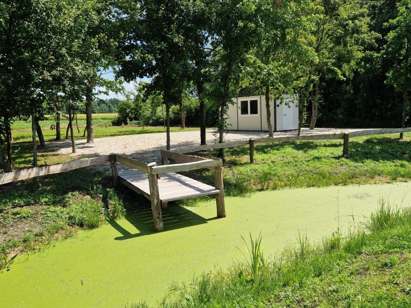 Slika članka