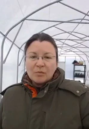 Slika članka