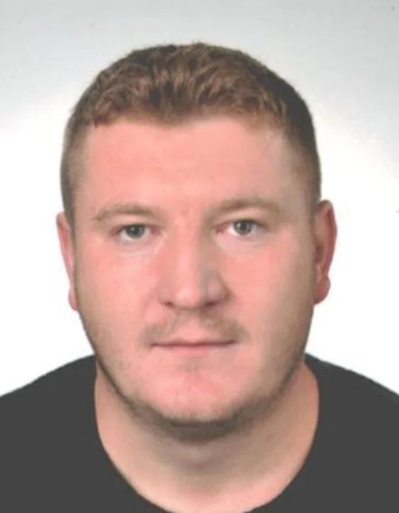 Slika članka