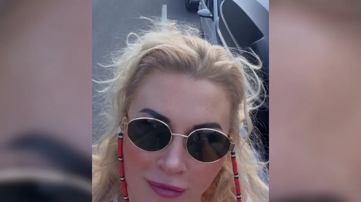 Slika članka