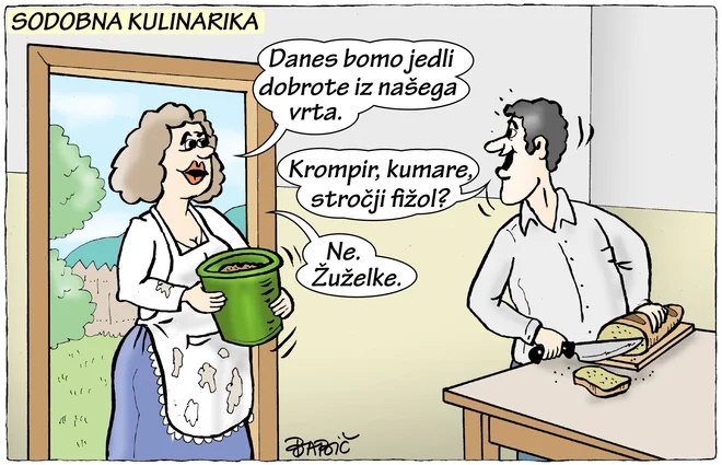 Slika članka