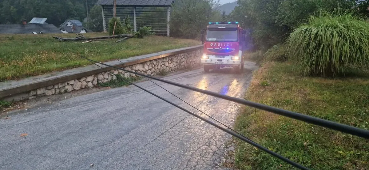 Slika članka