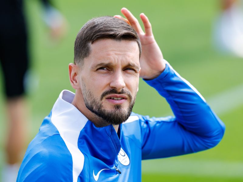 Slika članka