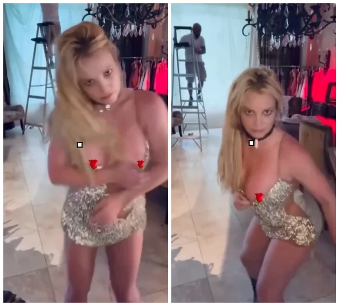 Slika članka