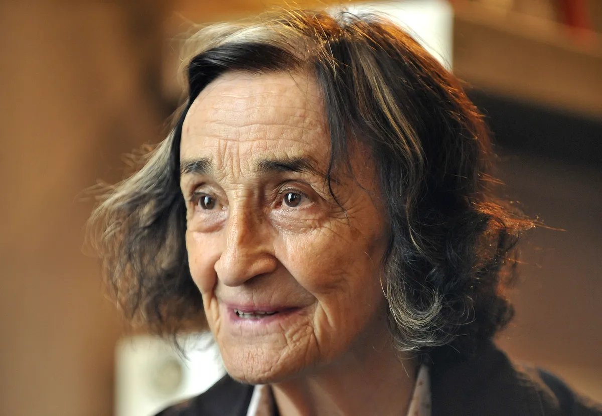Slika članka