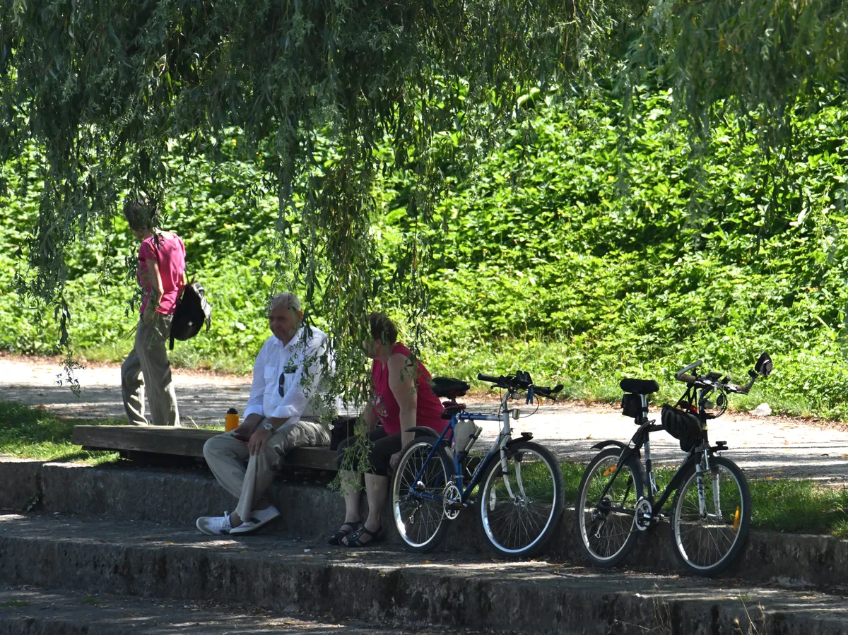 Slika članka