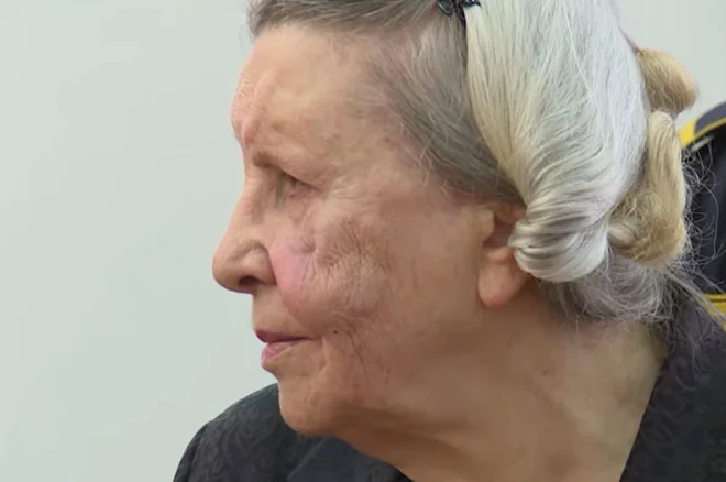 Slika članka