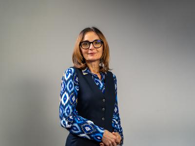 Slika članka