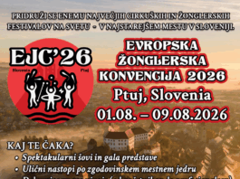 Slika članka