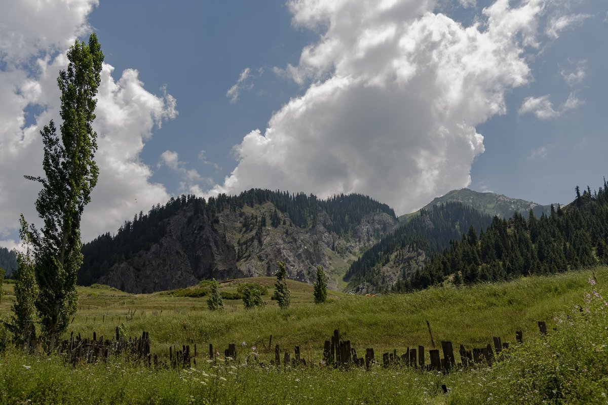 Slika članka