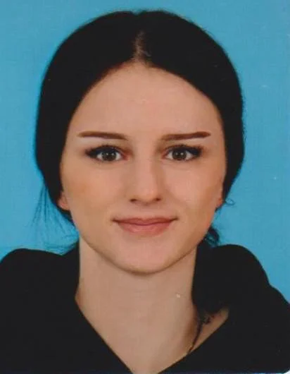 Slika članka