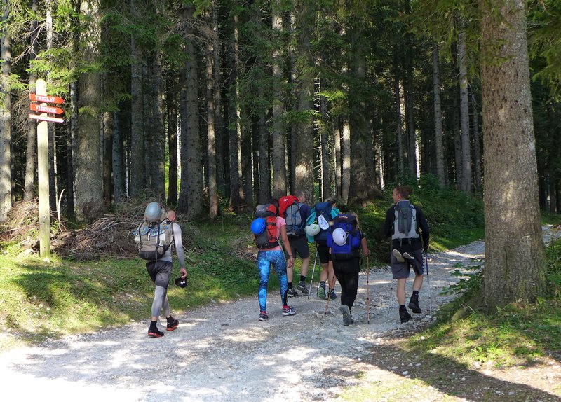 Slika članka