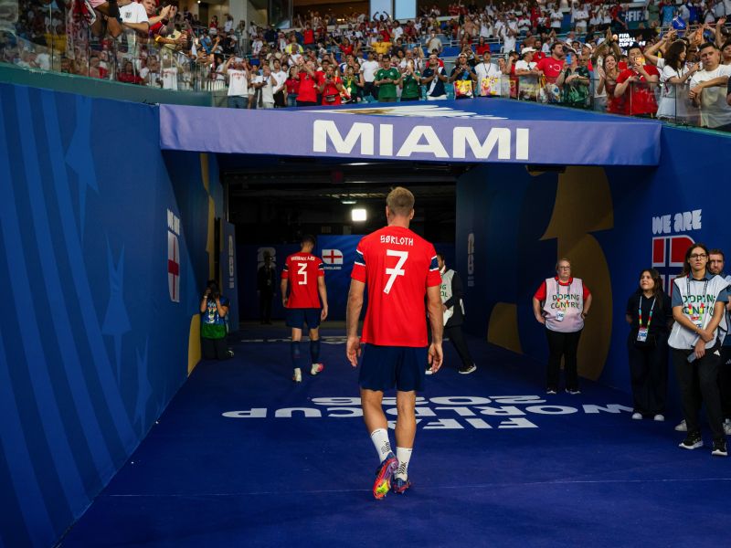 Slika članka