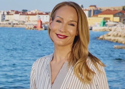 Slika članka