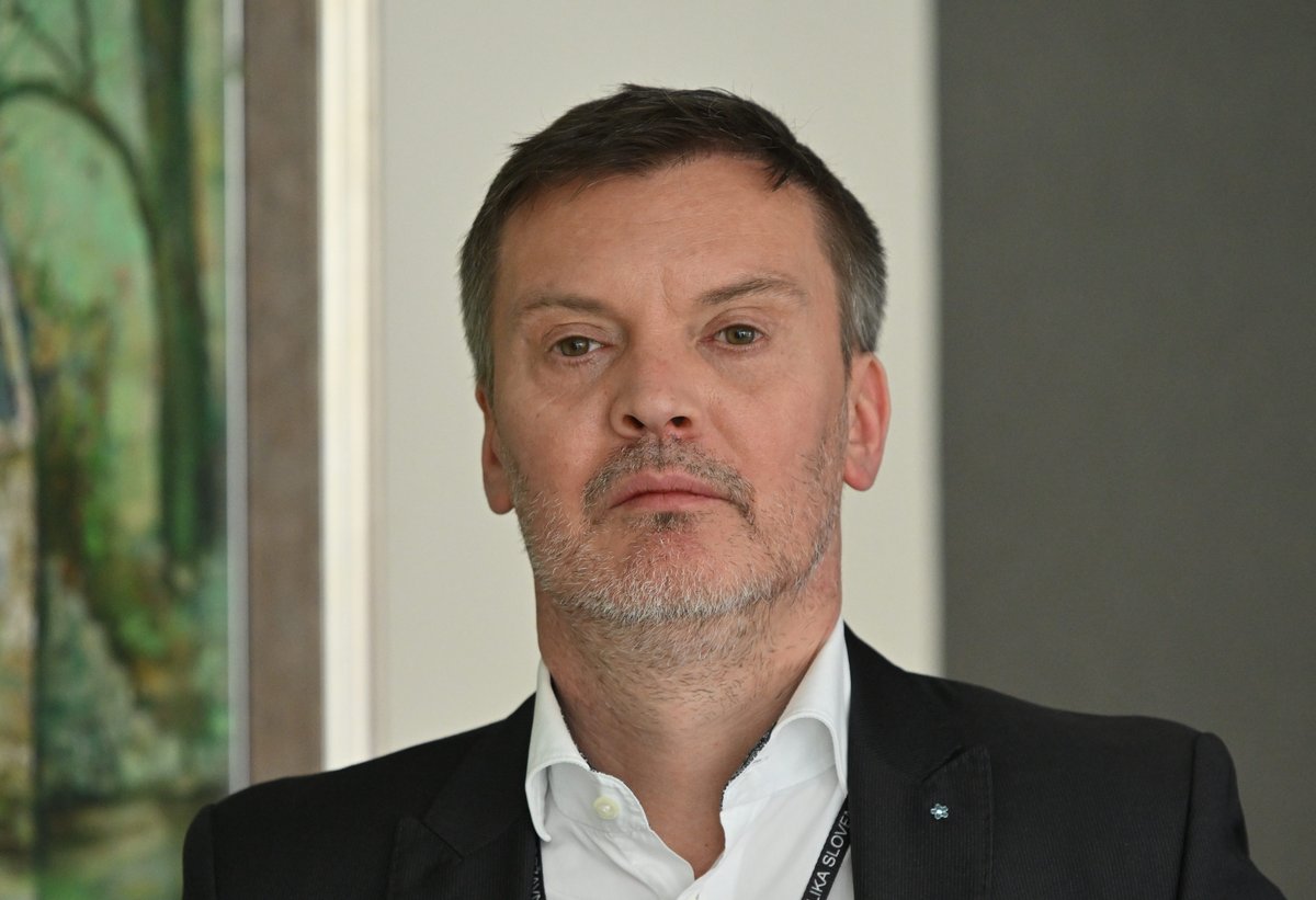 Slika članka