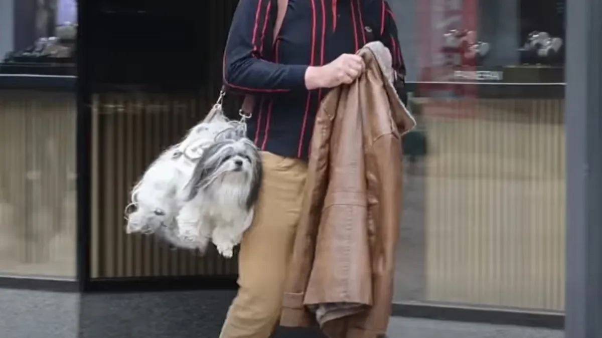 Slika članka