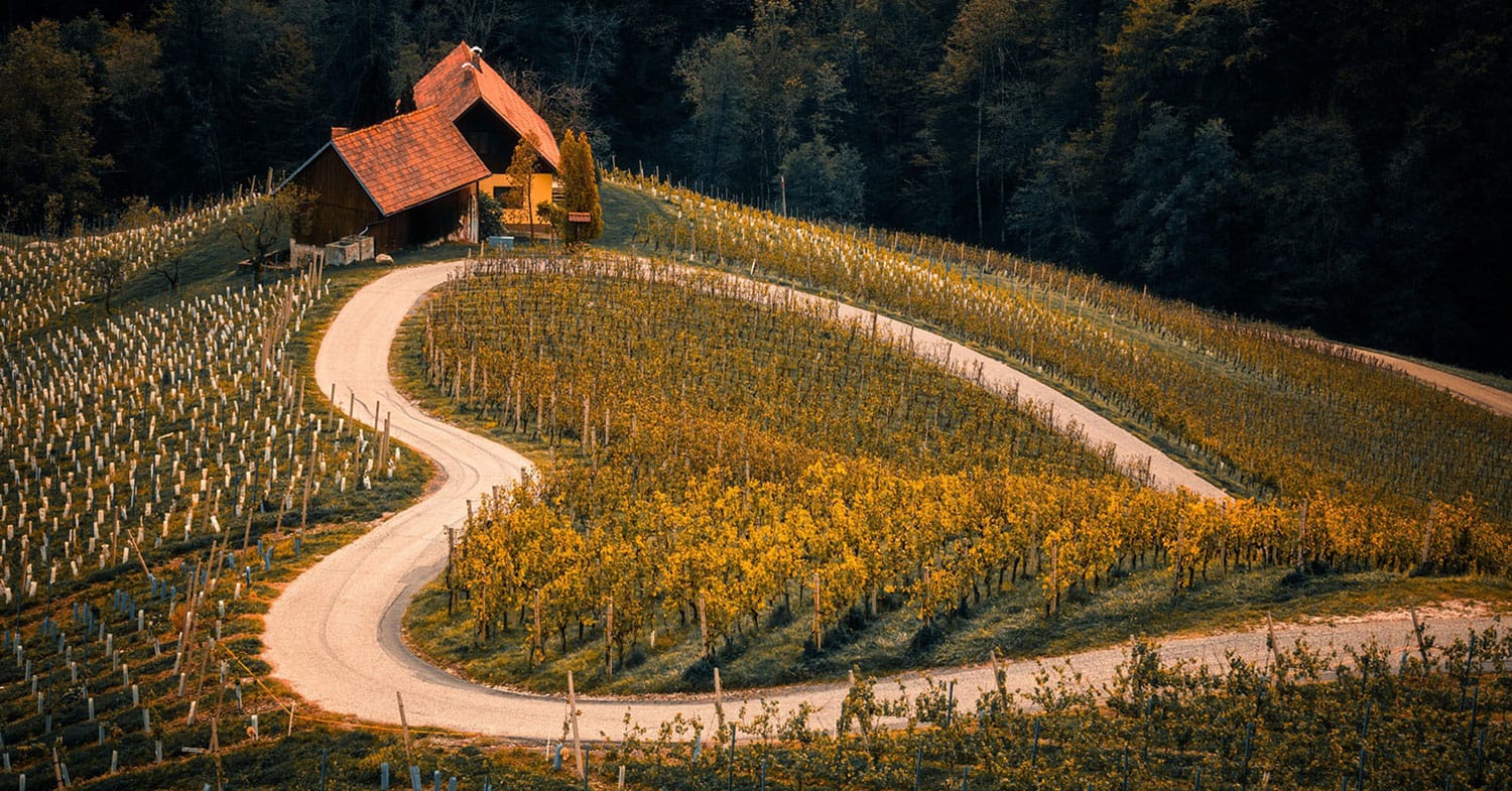 Slika članka