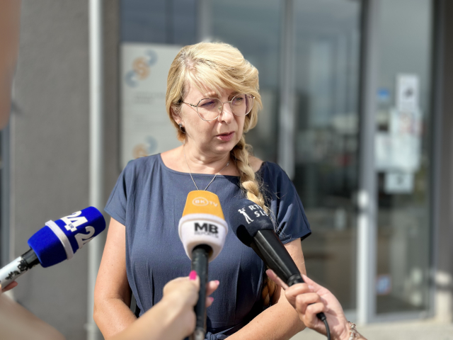 Slika članka