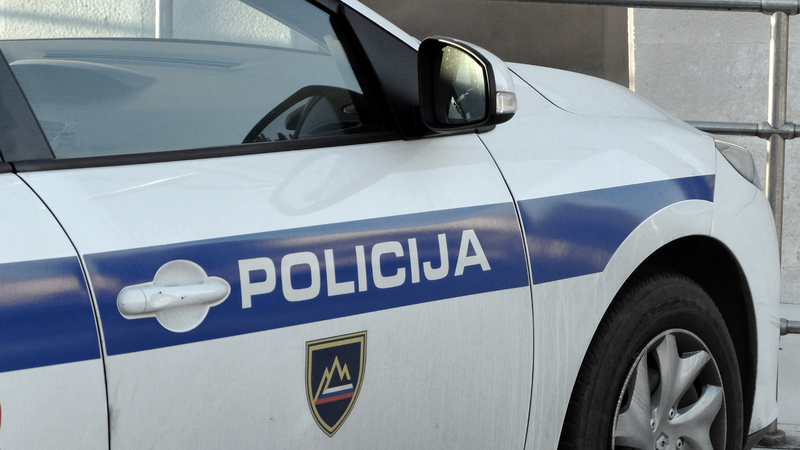 Slika članka
