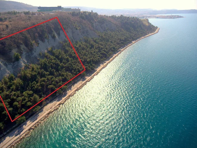 Slika članka