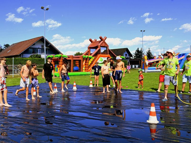 Slika članka