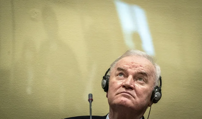 Slika članka
