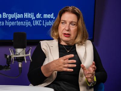 Slika članka