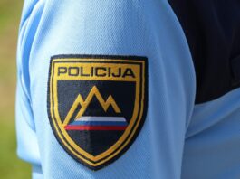 Slika članka