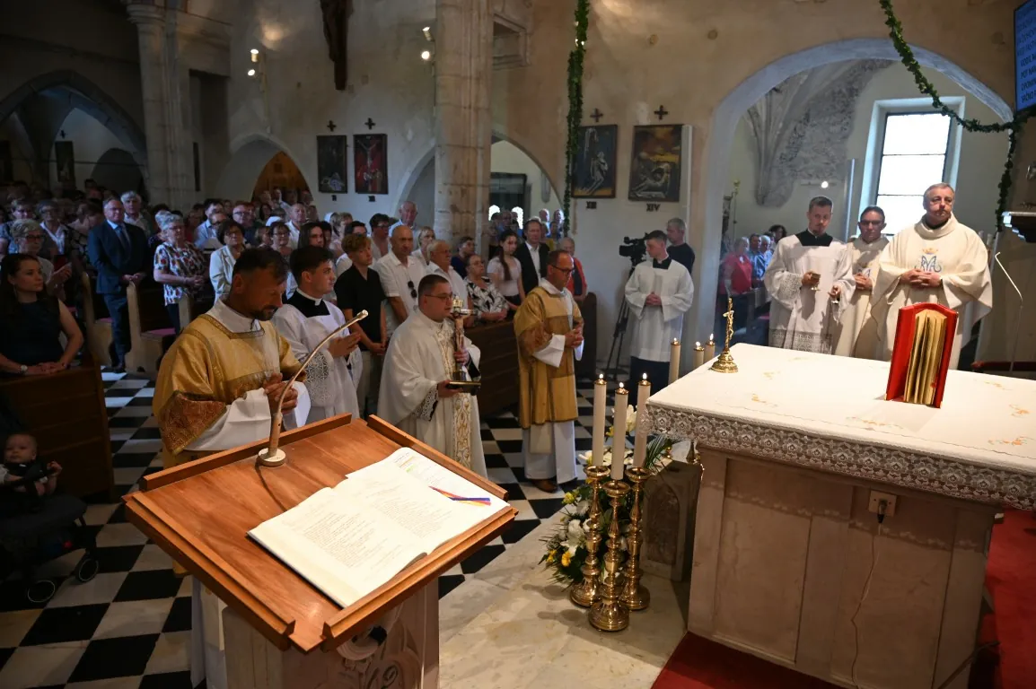 Slika članka