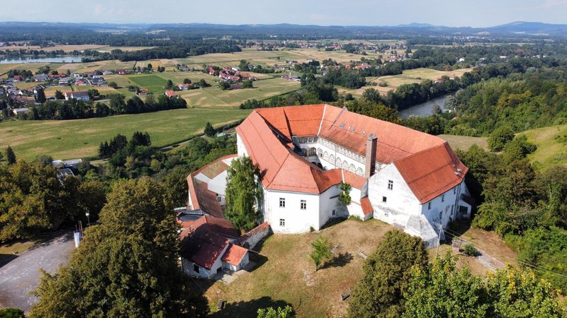 Slika članka