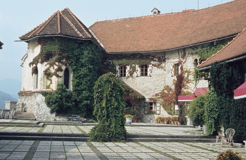 Slika članka