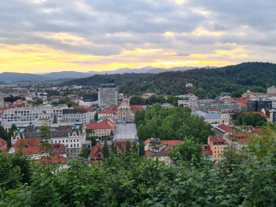 Slika članka