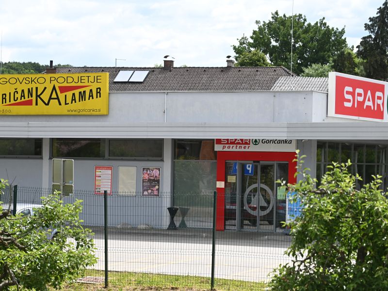 Slika članka